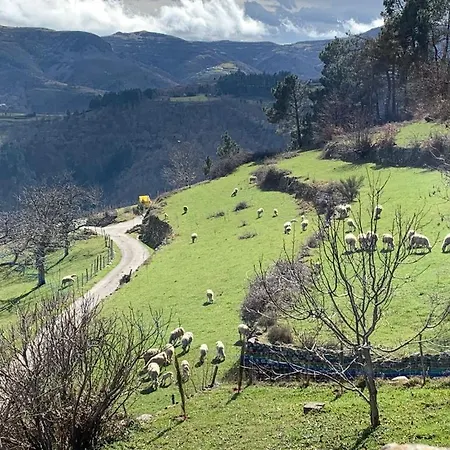 Les De La Bastide Saint-Sauveur-de-Montagut